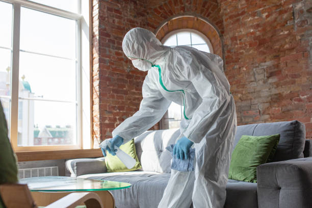 Best Mold Remediation for Healthcare Facilities  in Patchogue, NY